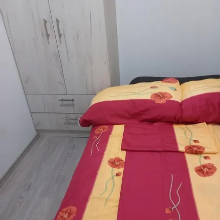 Ostanak kod kuće Rm Festival Guca